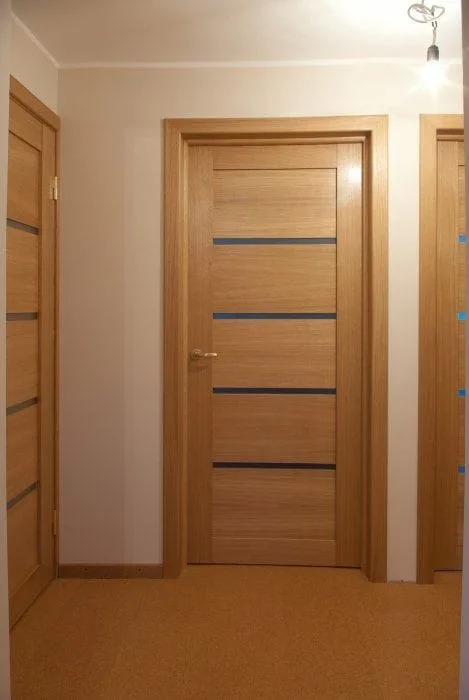 Interior Solid Door with  Light Panels